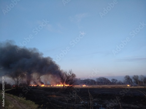 Black puffs of smoke in the blue sky from a fire in the steppe, the fire burns plants. Extermination of insects. Environmental pollution.
