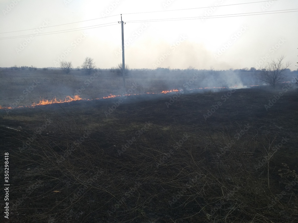 A streak of fire separating dead nature from living nature. Scorched earth, spring fires. Field with burnt grass. Extermination of insects. Environmental pollution