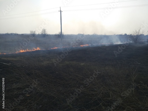 A streak of fire separating dead nature from living nature. Scorched earth, spring fires. Field with burnt grass. Extermination of insects. Environmental pollution