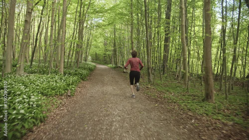 Shot of Woman's Back Taking a Morning Jog Along the Forest Path Shot of Woman's Back Taking a Morning Jog Along the Forest Path