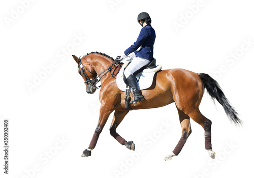 Equestrian sport - dressage rider portrait isolated on white © Dotana