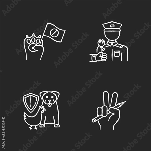 Social activism chalk white icons set on black background. Animal right demonstration. Wildlife protection. Freedom of press. Journalism and media. Social aid. Isolated vector chalkboard illustrations