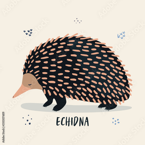 Vector cartoon illustration of a sleepy echidna. Illustration for the zoo, posters, leaflets.