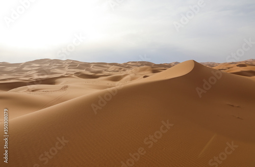 Sahara desert. Merzouga Morocco.