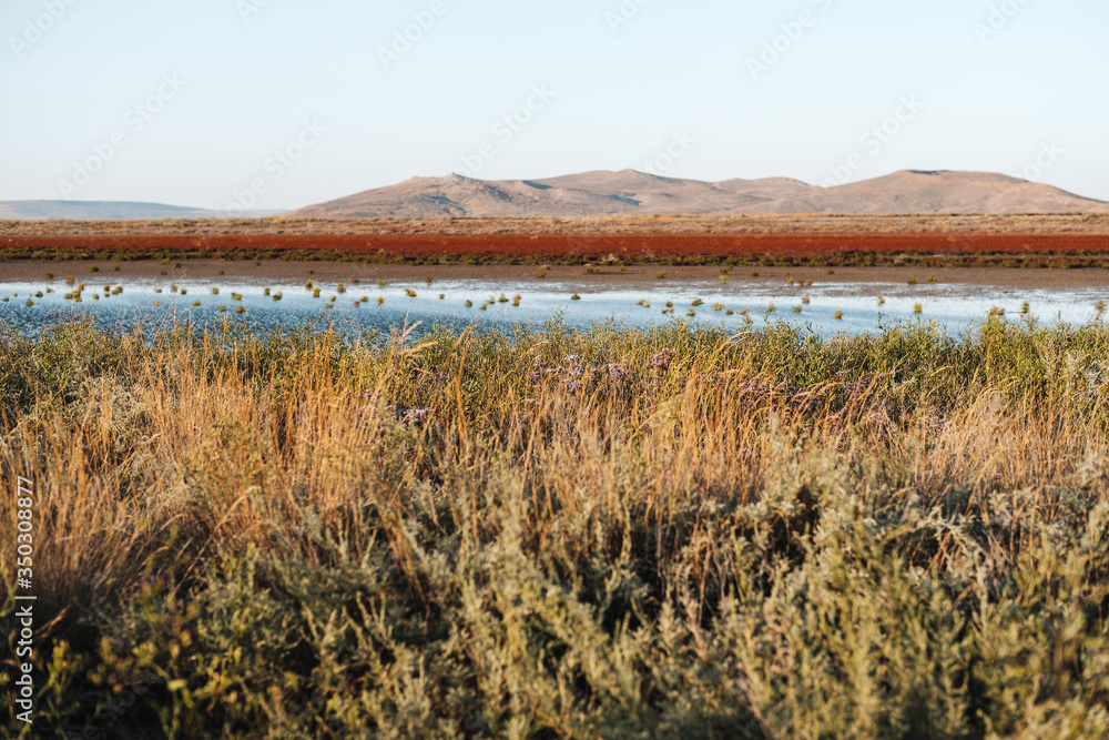 Blue lake in the middle of field and red grass around it. In background is mountain. Natural landscape.