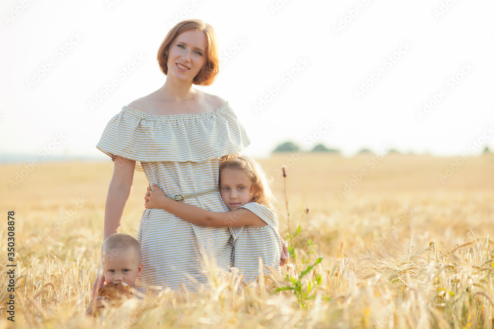A mother hugs and loves her little children in a wheat field. A happy mother and her children spend time together in a Sunny field. The concept of leaving a horizontal portrait. A mother hugs and loves her little children in a wheat field. A happy mother and her children spend time together in a Sunny field. The concept of leaving a horizontal portrait.