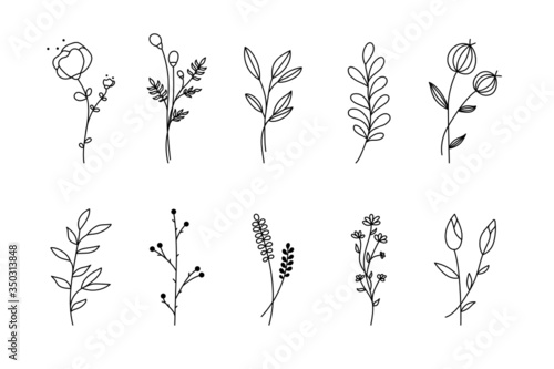 Hand drawn flower branch set. Simple floral graphic sketch with leaves sprig silhouettes, minimal fine line tattoo sketch design. Vector illustration photo