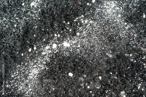 white slaked lime scattered on the soil surface, chernozem. Soil liming before planting © Firuza