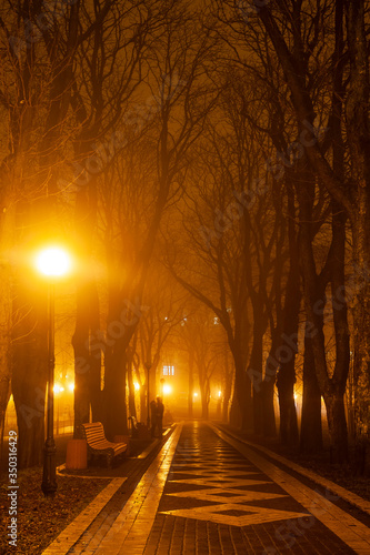 Fototapeta Naklejka Na Ścianę i Meble -  The avenue of city park at night. Kyiv, Ukraine.
