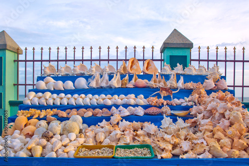 Quadro su tela Decorative sea shells on display in a cart at Kanyakumari, Tamil Nadu, India