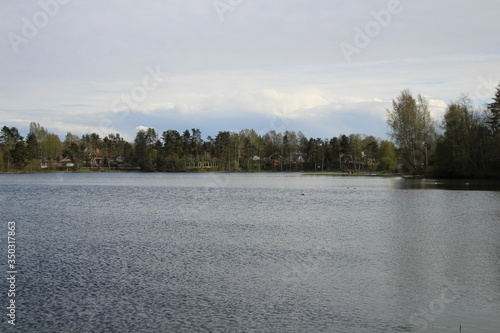 lake in winter