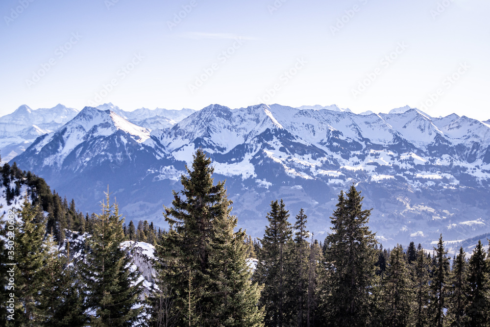snow covered trees in mountains, Switzerland alps