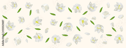 3d realistic Lilly of the valley with green leaf. White lily of the valley in motion. Fragrant flowers. Vector illustration.