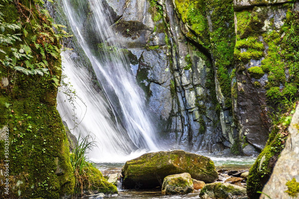 Fototapeta premium waterfall in the forest with drag effect