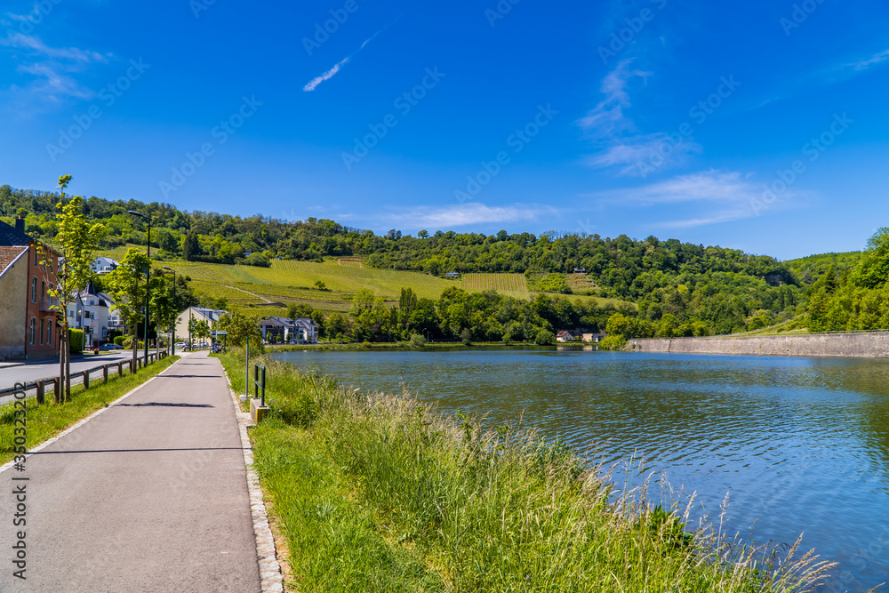 The town of Machtum, Luxembourg with vineyards on the Moselle river