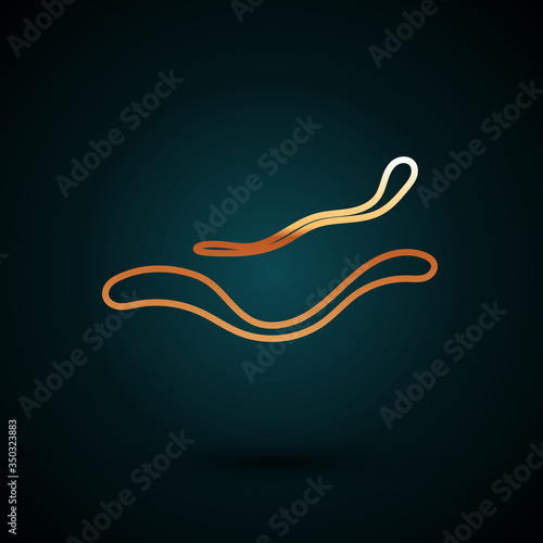 Gold line Ebola virus disease icon isolated on dark blue background. Vector Illustration