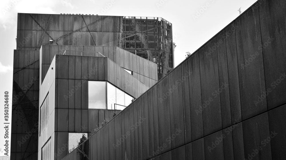 Fototapeta premium The windows of a modern building for offices. Business buildings architecture. Black and white.