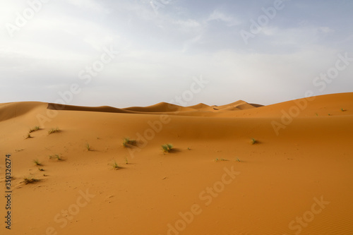 Sahara desert. Merzouga Morocco.