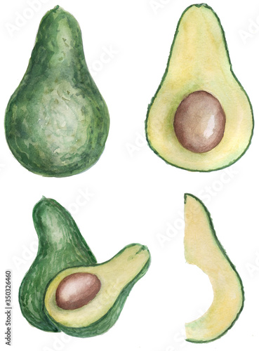watercolor avocado set isolated on white