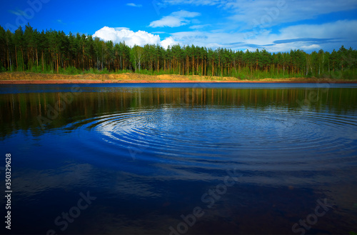 Fototapeta Naklejka Na Ścianę i Meble -  Water ripples at summer river background
