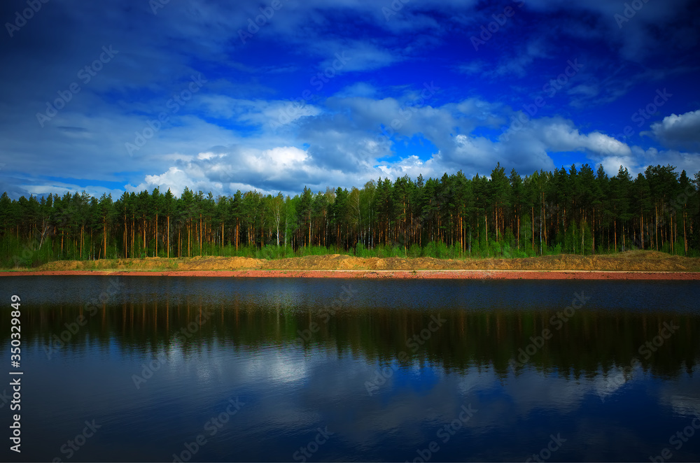 Summer forest on river bank landscape background