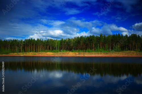 Summer forest on river bank landscape background