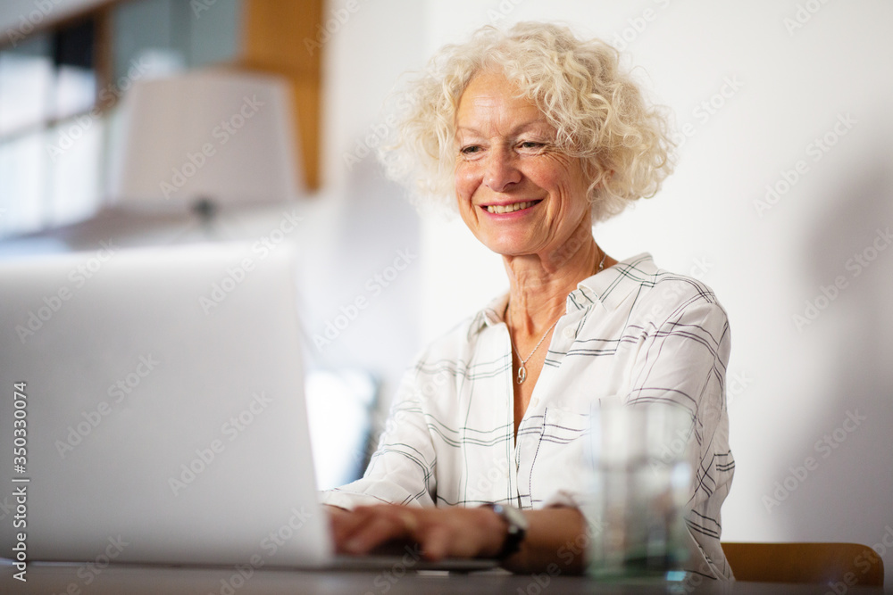 smiling woman using laptop at home smiling woman using laptop at home
