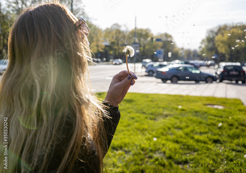 Unrecognizable woman blowing on dandelion. Copy space in right side . Blurred background .