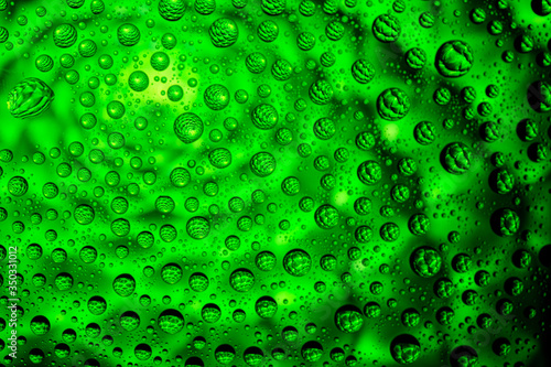 Green plant through drops of water on glass