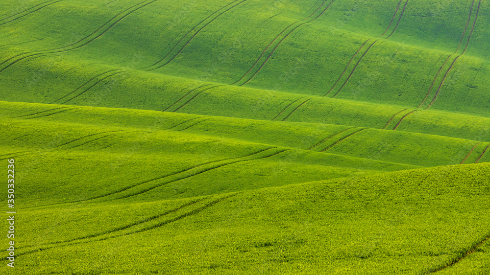 A landscape of waves called Moravian Tuscany in the Czech Republic.