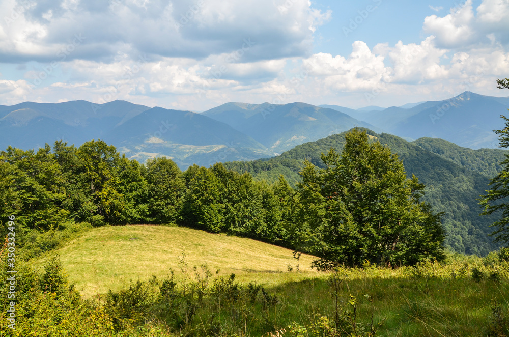 Beautiful summer mountain slope with blue sky and white clouds, deciduous trees and green meadow. Carpathian Mountains, Ukraine