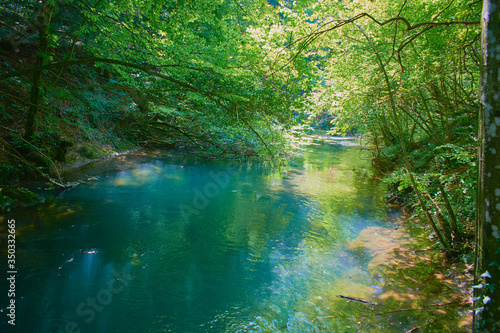 Blue river in the forest