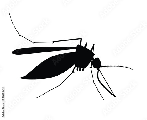 Realistic mosquito silhouette isolated on white background, insect closeup, vector illustration, profile view.