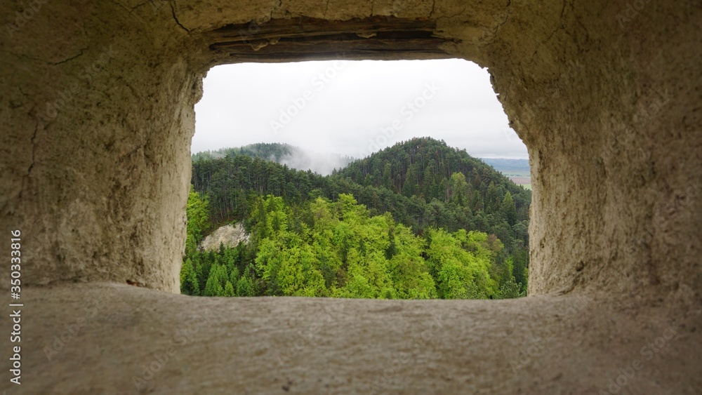 view from the window of the castle
