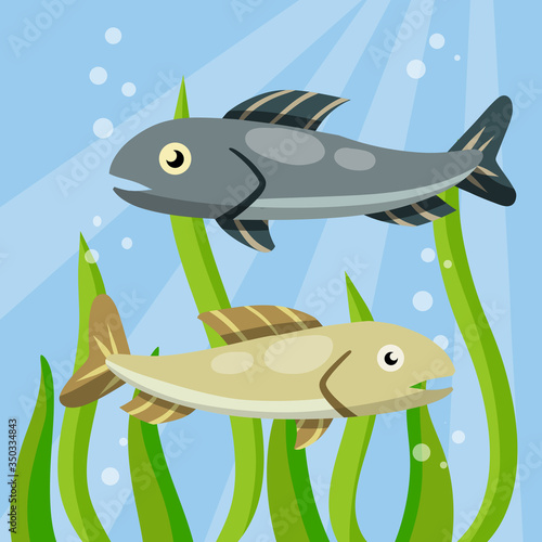 Set of fish. River animal with scales, fins and tail. Underwater life. Water with algae. Wildlife and aquarium. Element of fishing. Cartoon flat illustration