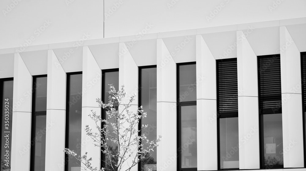 The windows of a modern building for offices. Business buildings architecture. Black and white. The windows of a modern building for offices. Business buildings architecture. Black and white.