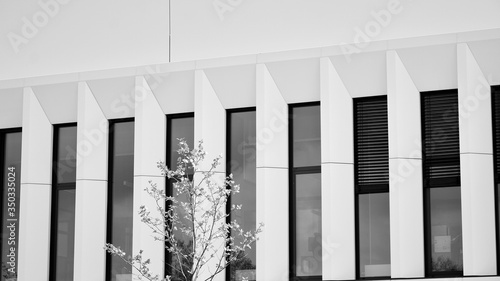 The windows of a modern building for offices. Business buildings architecture. Black and white.