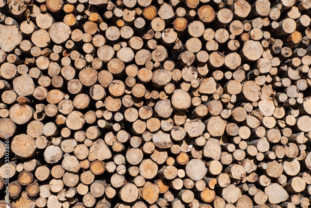 Texture of cut logs