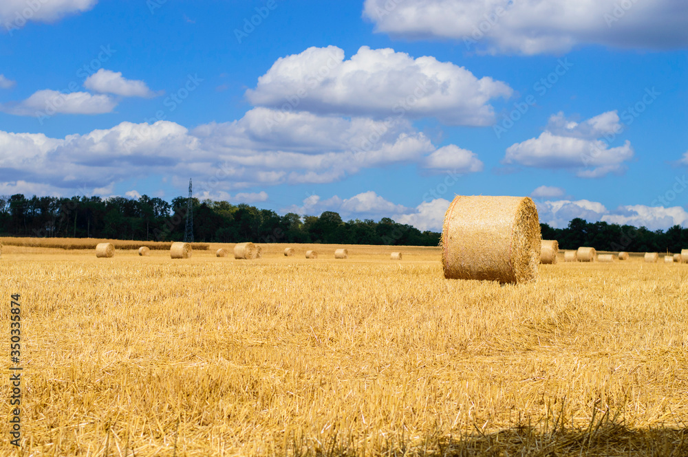 Fototapeta premium Sky, space, harvest season, field, clouds, Large round straw bales