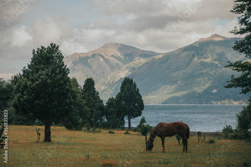 landscape horses lake