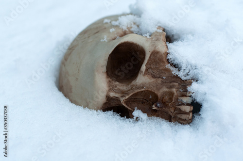 skull covered with snow and ice.  human skull. buried human remains. terrible find