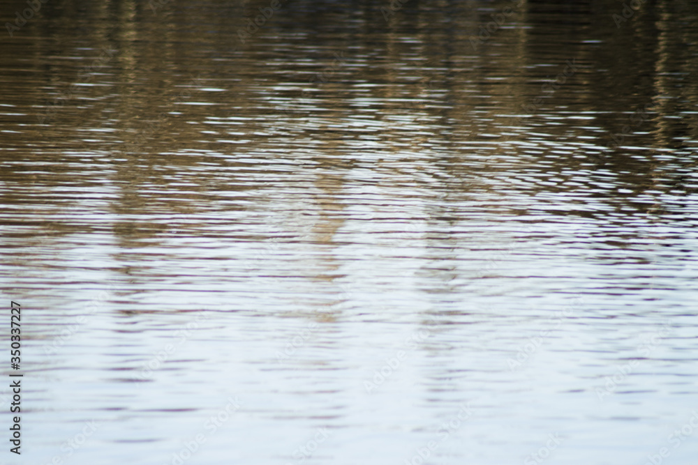 Lake water with defocused reflected trees Lake water with defocused reflected trees