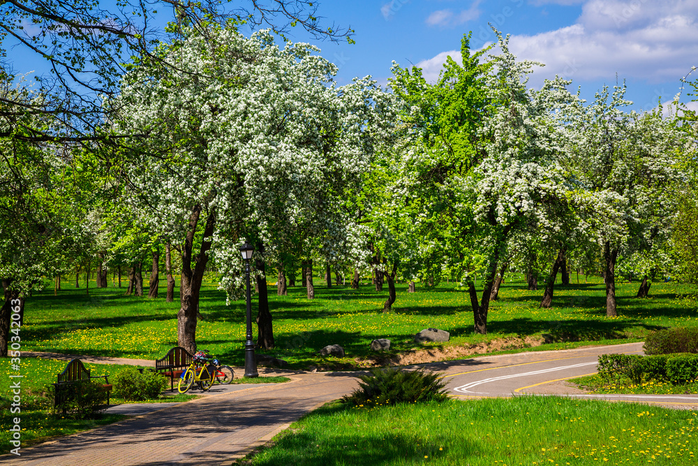 Spring in the city park