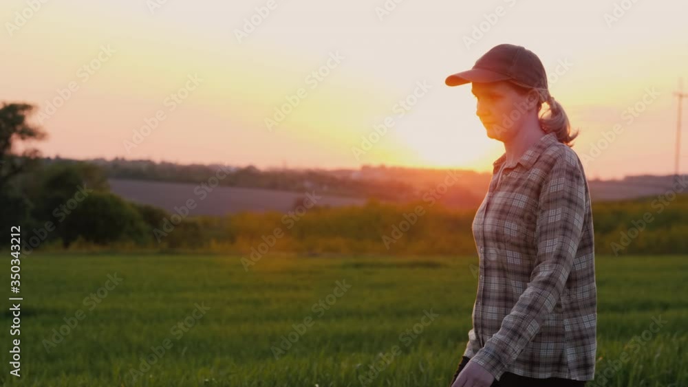 Side view: A female farmer walks through a picturesque field at sunset Side view: A female farmer walks through a picturesque field at sunset