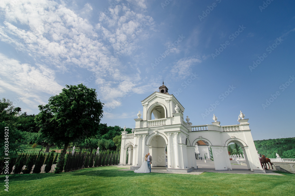 Groom hugs his bride on the green grass against the background of a white arch. Taken from a far angle.