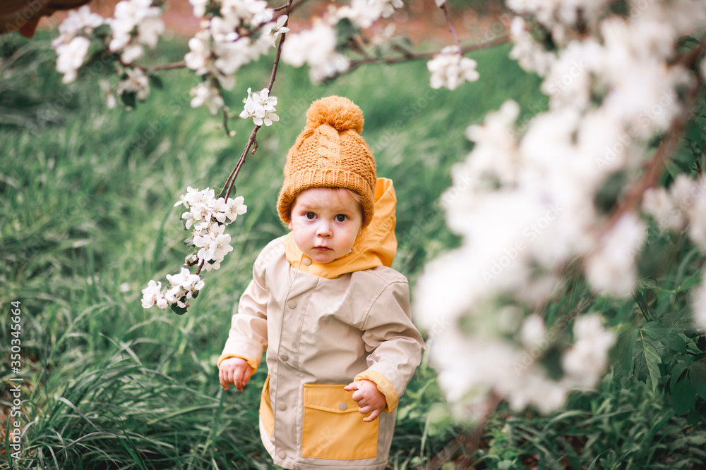 A cute one-year-old boy stands near a blooming Apple tree in
