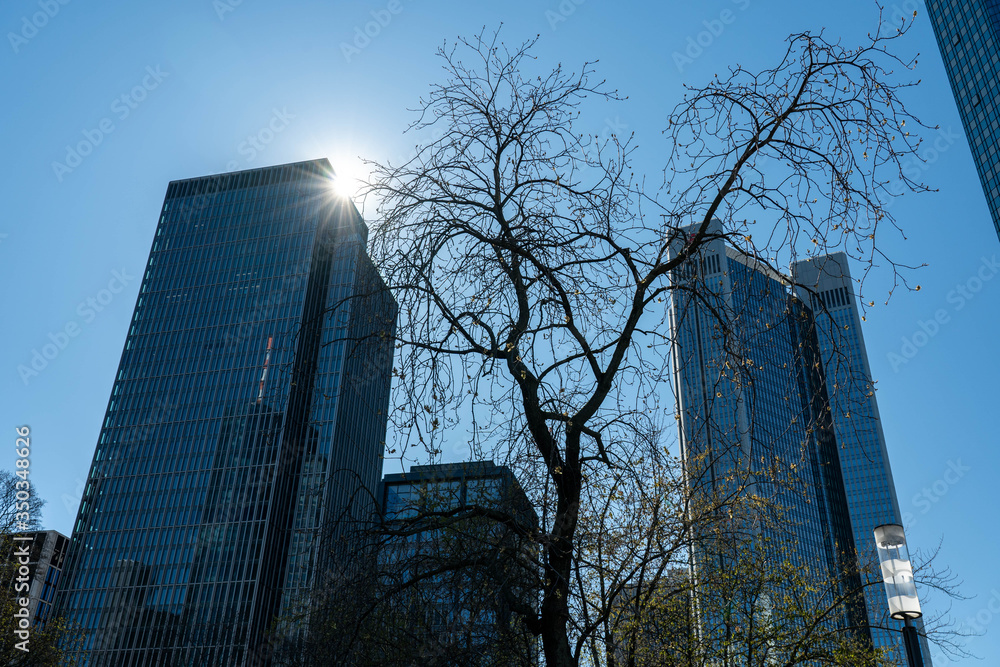 view on frankfurt bank towers (deutsche bank), germany