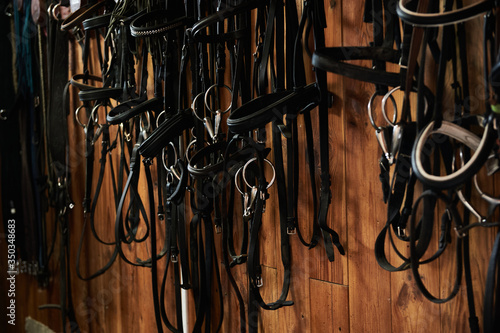 horse reins hang on the wall. Horse theme