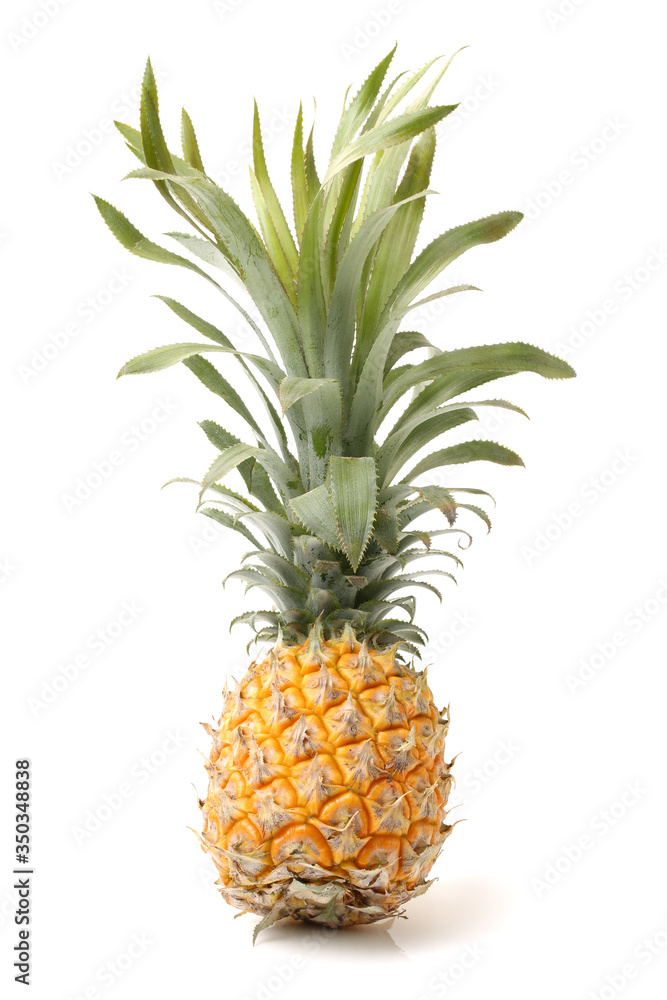 Pineapple on white background Pineapple on white background