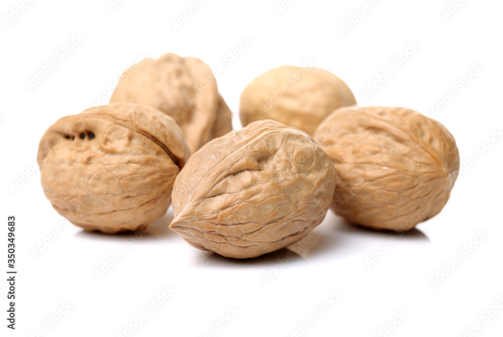 walnuts on a white background walnuts on a white background